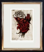 Rose / Radierung im Modellrahmen 1296