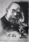 Radierung / Robert Koch