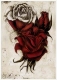 Rose - Radierung 1296