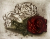 Rose / Radierung 1371