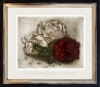 Rose / Radierung im Modellrahmen 1371