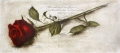 Rose / Radierung 1617