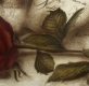 Radierung / Rose, Wein im Modellrahmen 1737