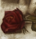 Radierung / Rose, Wein im Modellrahmen 1737