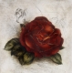 Rose / Radierung 1785qu
