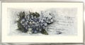 Hortensie / Radierung im Modellrahmen Weißgold Art.Nr.: 2033