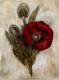 Radierung Nr.: 1226 / Mohn